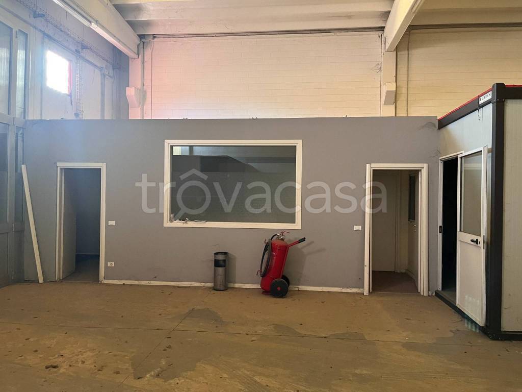 immagine annuncio 2 di 11