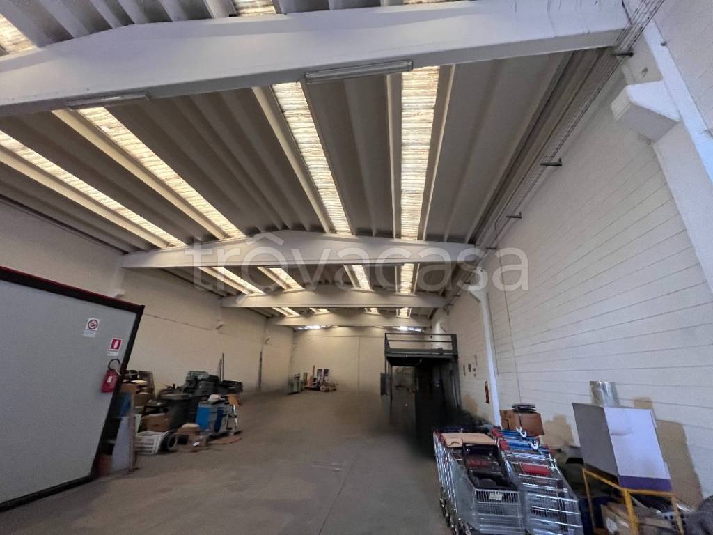 immagine annuncio 5 di 11