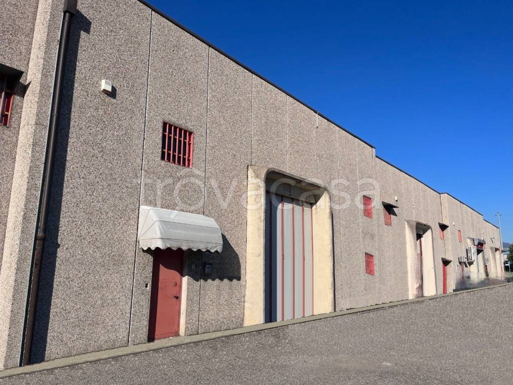 immagine annuncio 6 di 11