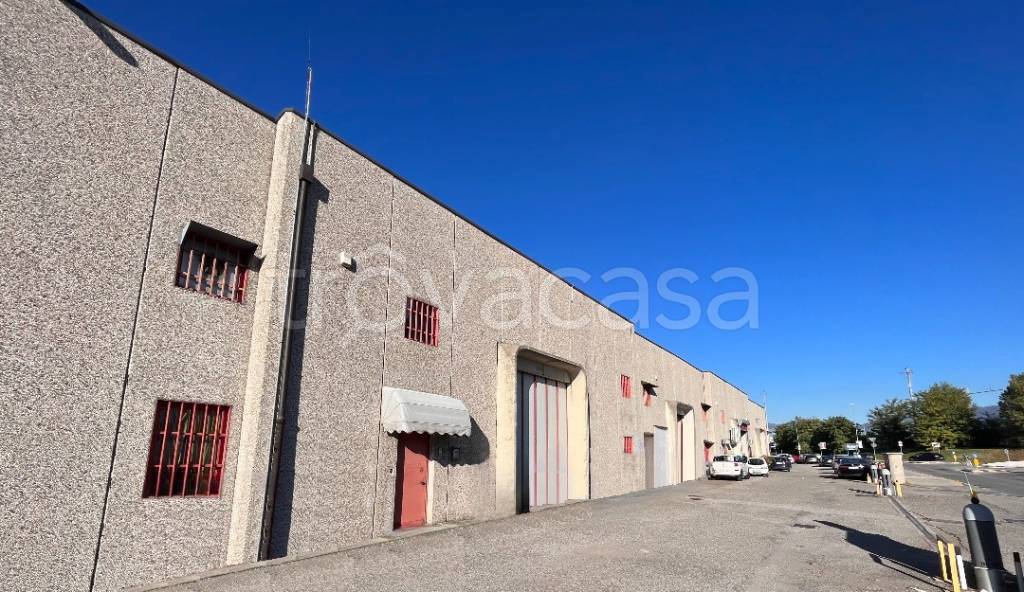 immagine annuncio 7 di 11