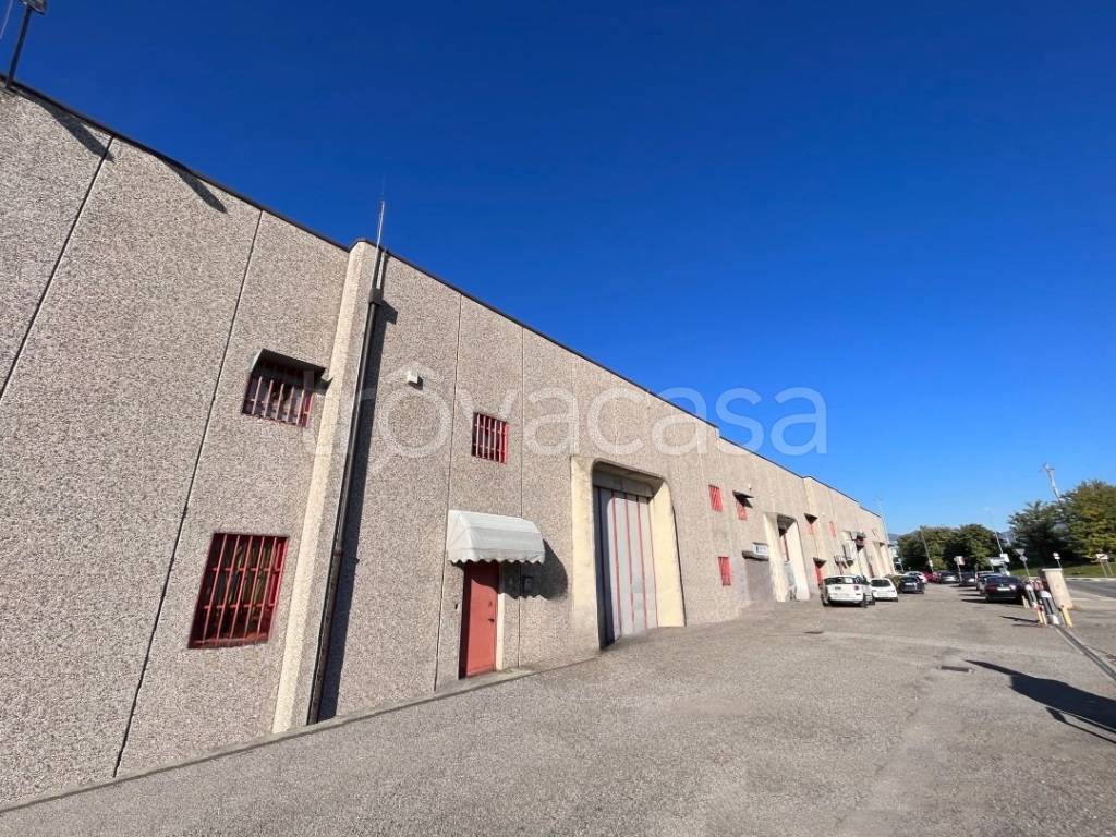 immagine annuncio 8 di 11