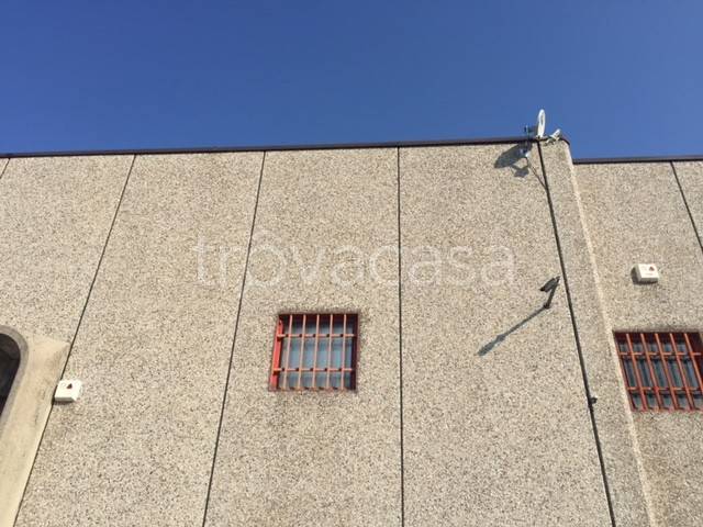 immagine annuncio 9 di 11