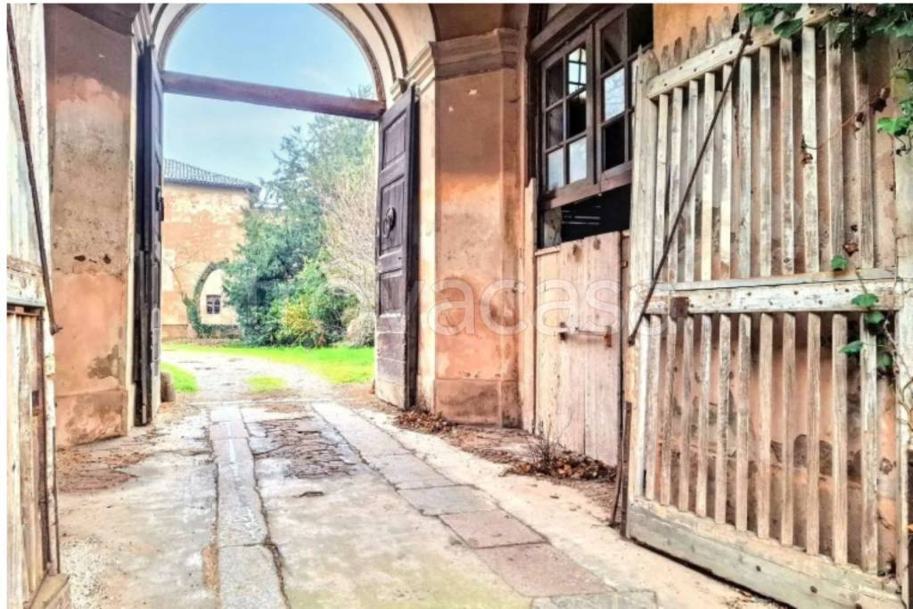 immagine annuncio 3 di 11