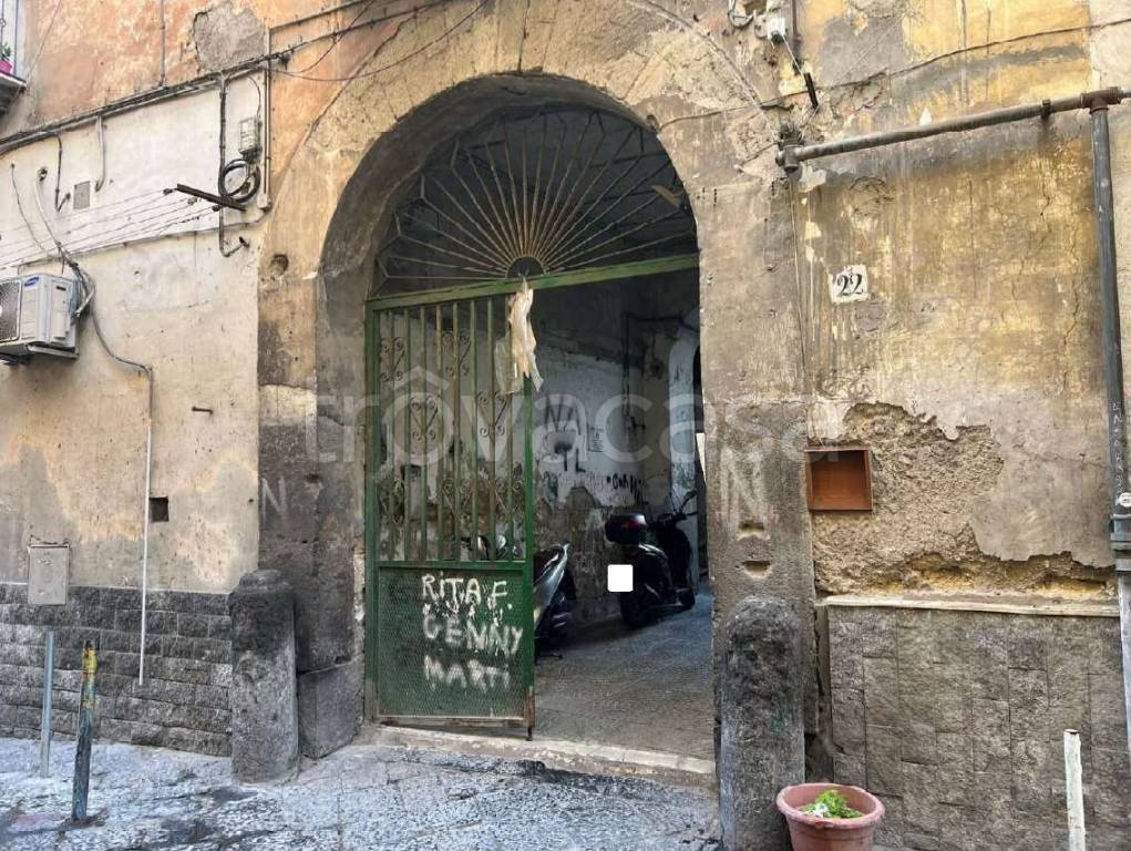 immagine annuncio 11 di 14