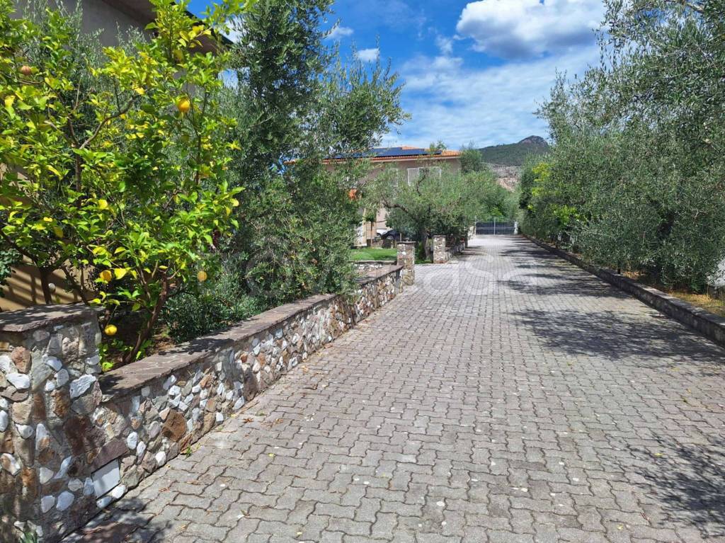 immagine annuncio 6 di 9