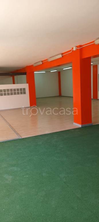 immagine annuncio 4 di 12