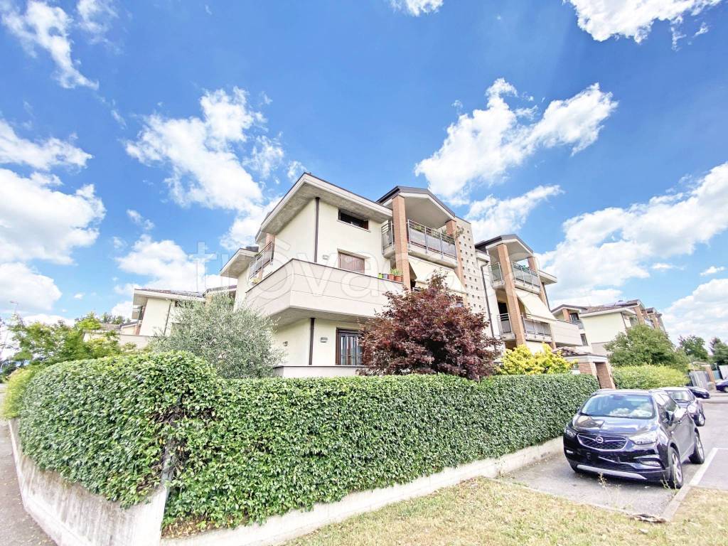 immagine annuncio 4 di 15