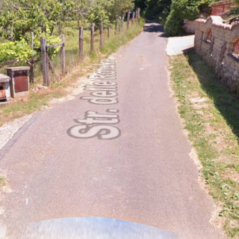 immagine annuncio 2 di 12