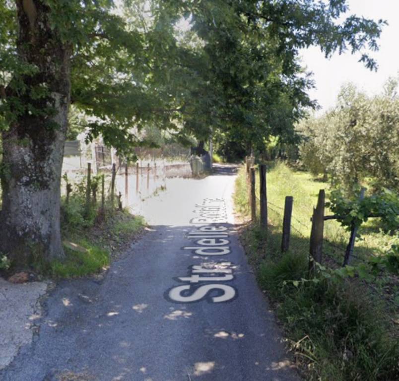 immagine annuncio 4 di 12