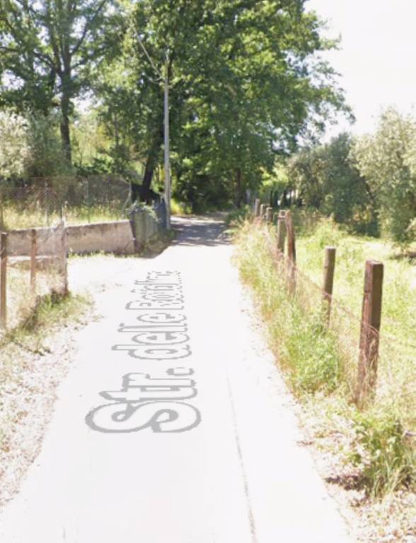 immagine annuncio 5 di 12