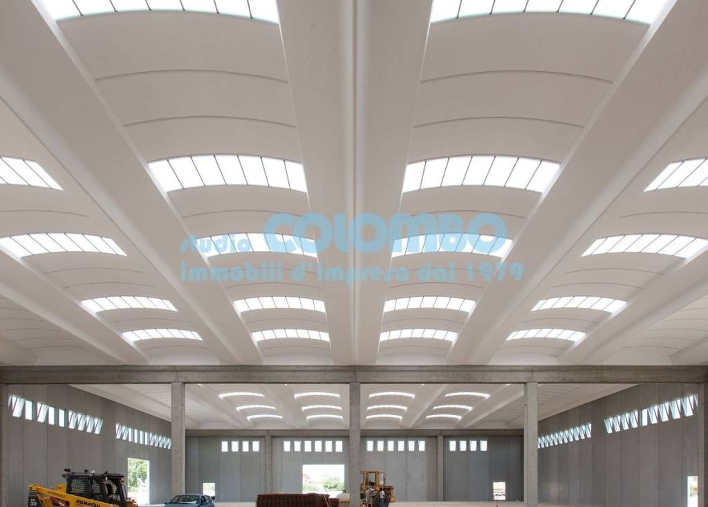 immagine annuncio 9 di 13