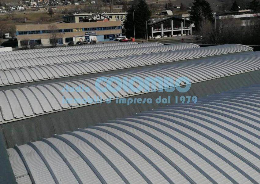 immagine annuncio 12 di 13