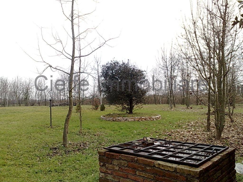 immagine annuncio 7 di 11