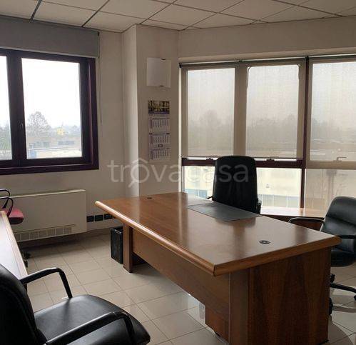 immagine annuncio 4 di 12