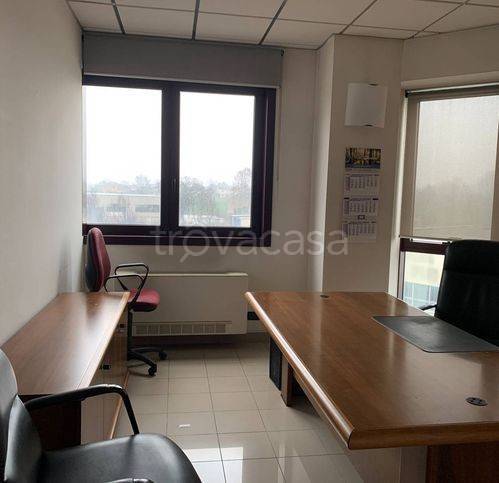 immagine annuncio 5 di 12