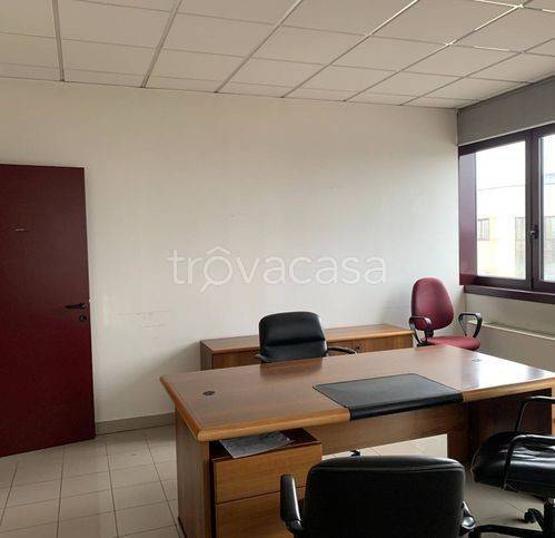 immagine annuncio 6 di 12