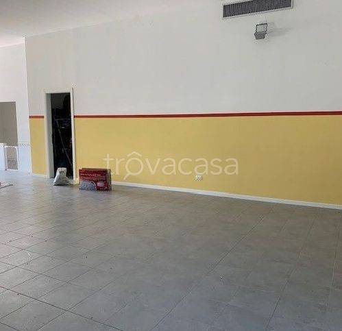 immagine annuncio 1 di 8