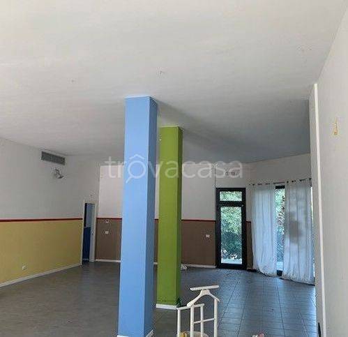 immagine annuncio 2 di 8