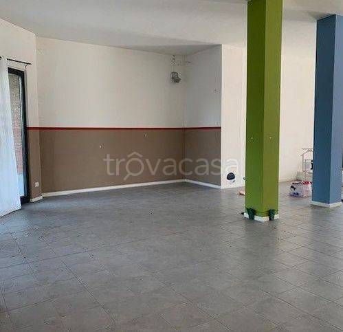 immagine annuncio 3 di 8