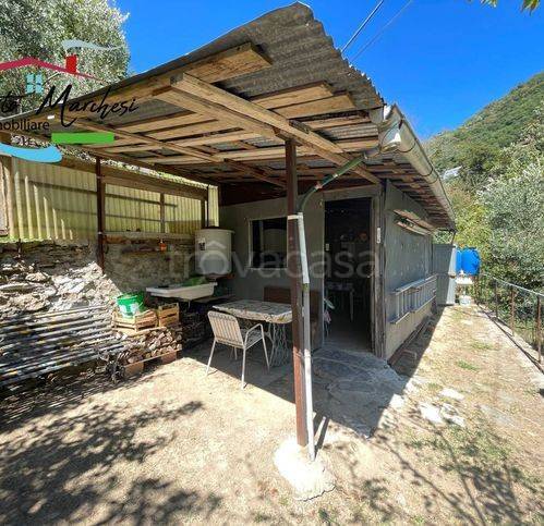 immagine annuncio 7 di 13