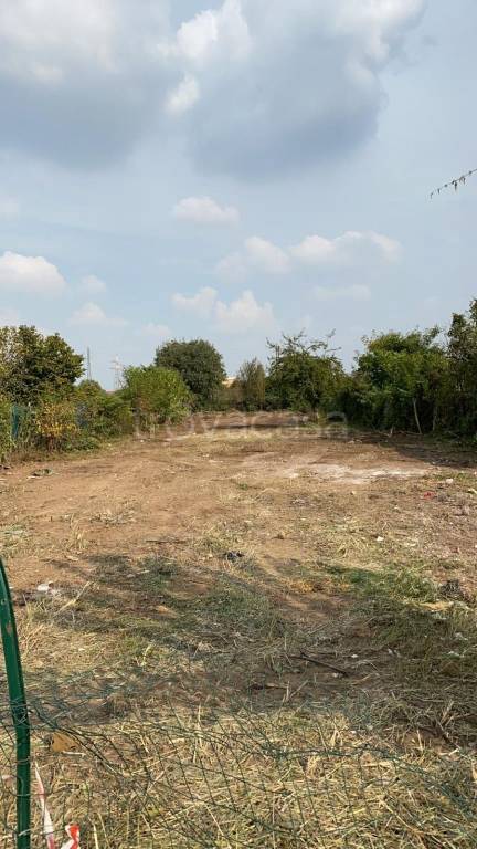 immagine annuncio 1 di 11