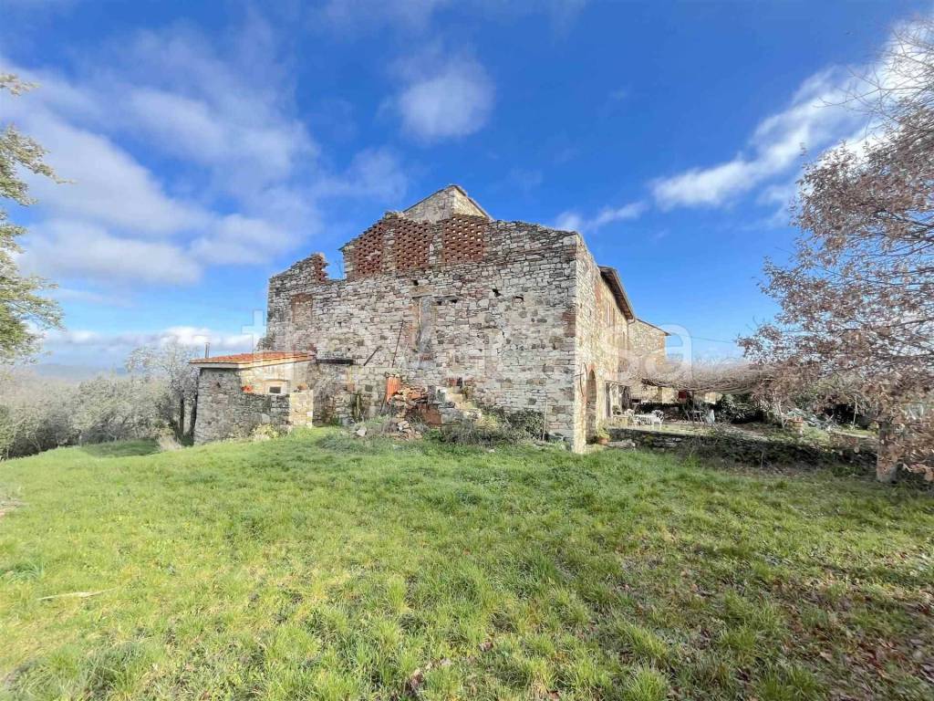 immagine annuncio 5 di 12