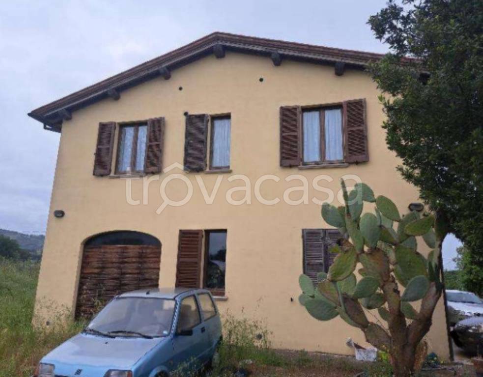 immagine annuncio 11 di 14