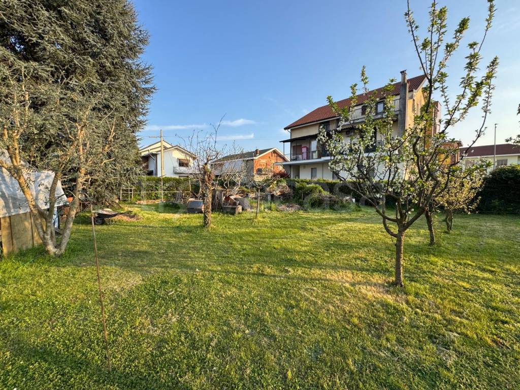 immagine annuncio 1 di 7