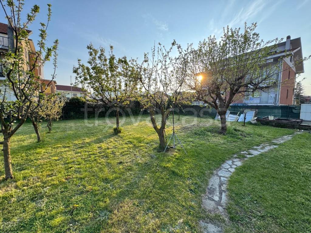 immagine annuncio 5 di 7