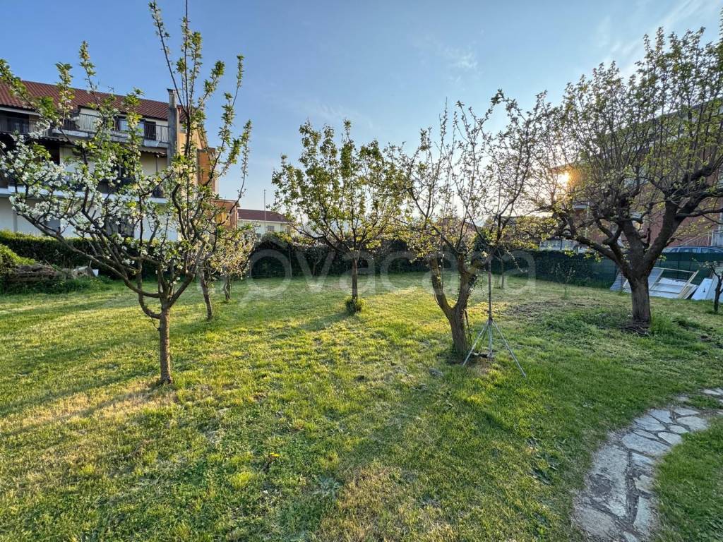 immagine annuncio 6 di 7