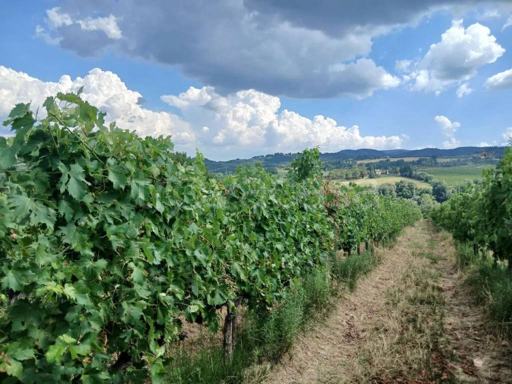 immagine annuncio 2 di 4