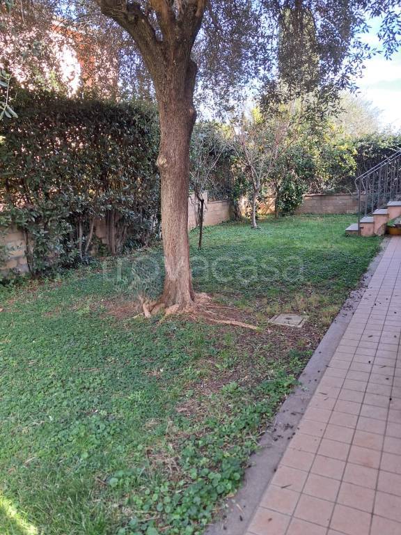 immagine annuncio 2 di 6