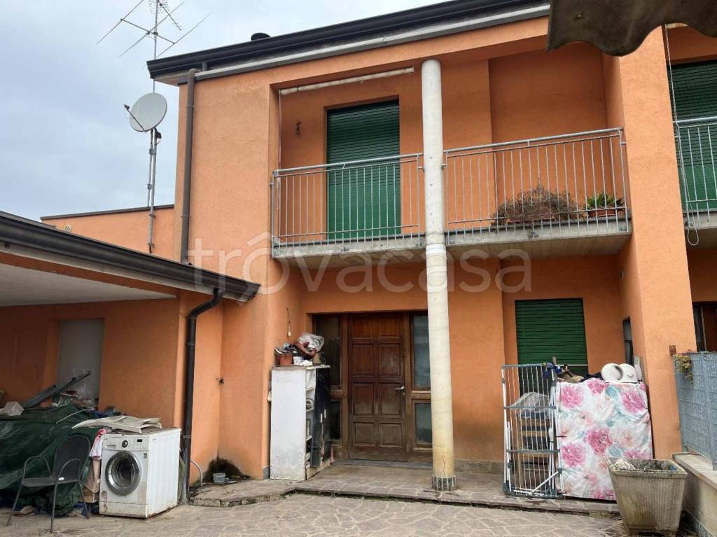 immagine annuncio 9 di 11