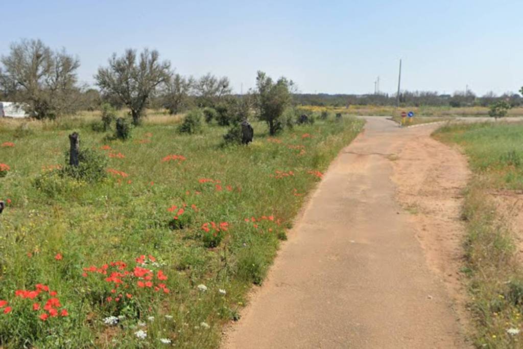 immagine annuncio 8 di 10