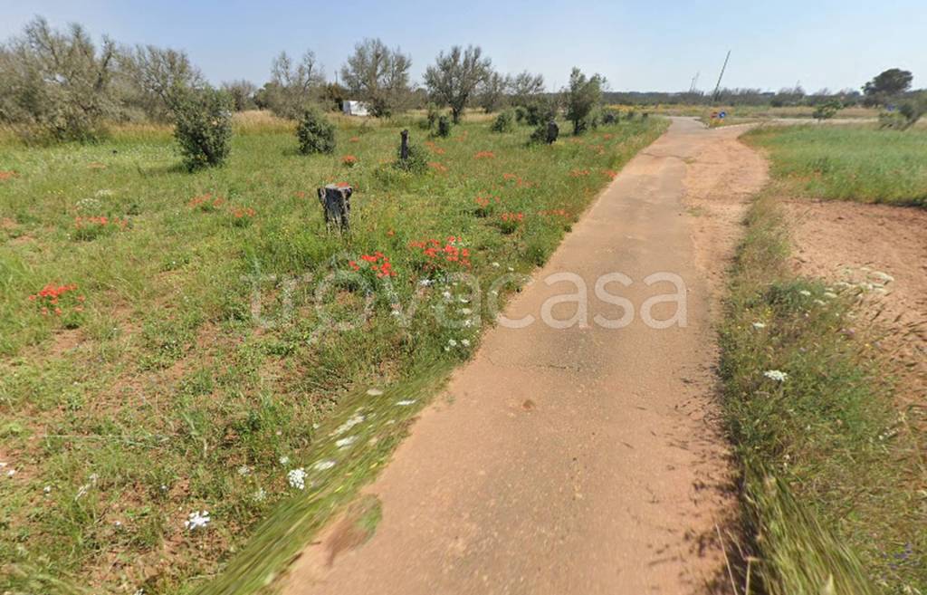 immagine annuncio 9 di 10