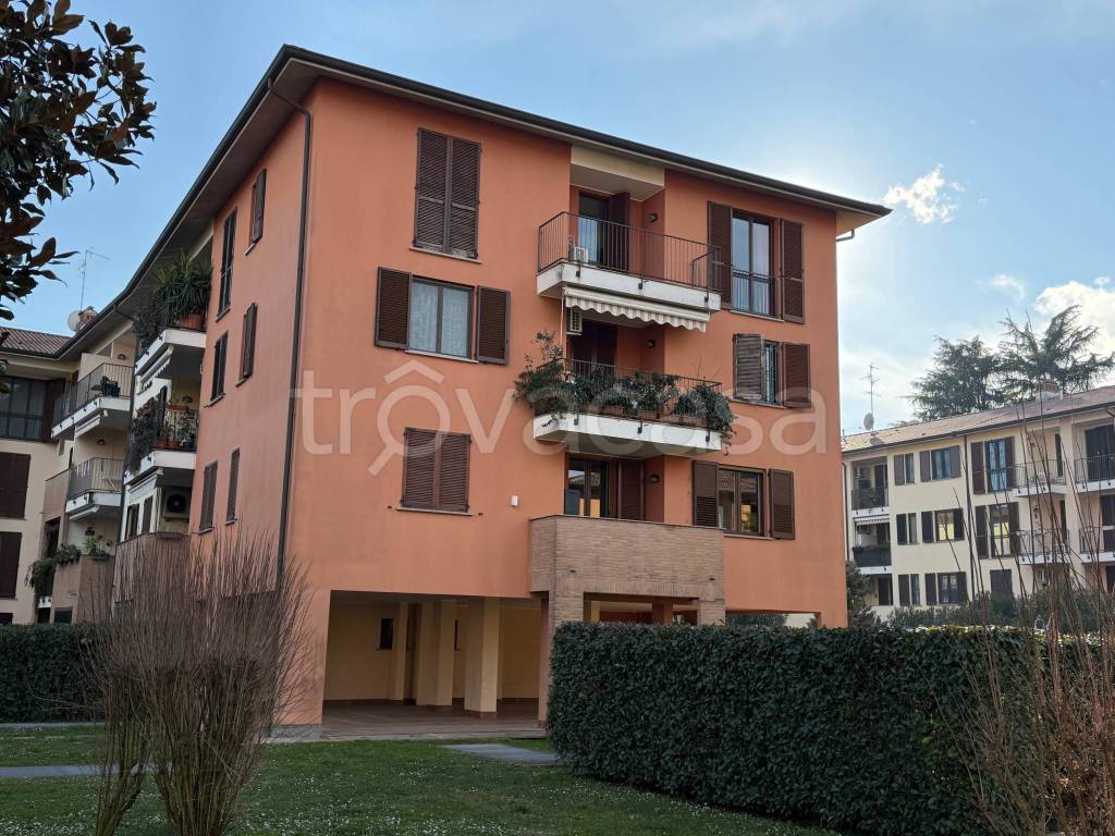 immagine annuncio 6 di 15