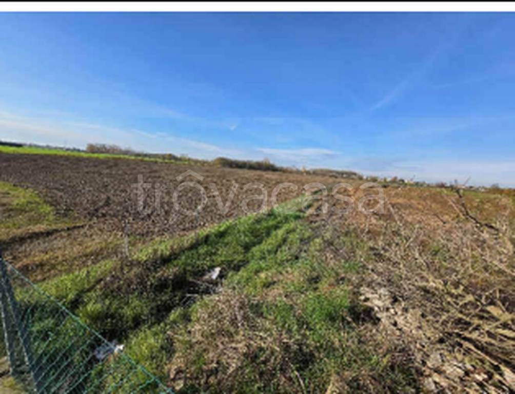 immagine annuncio 8 di 11