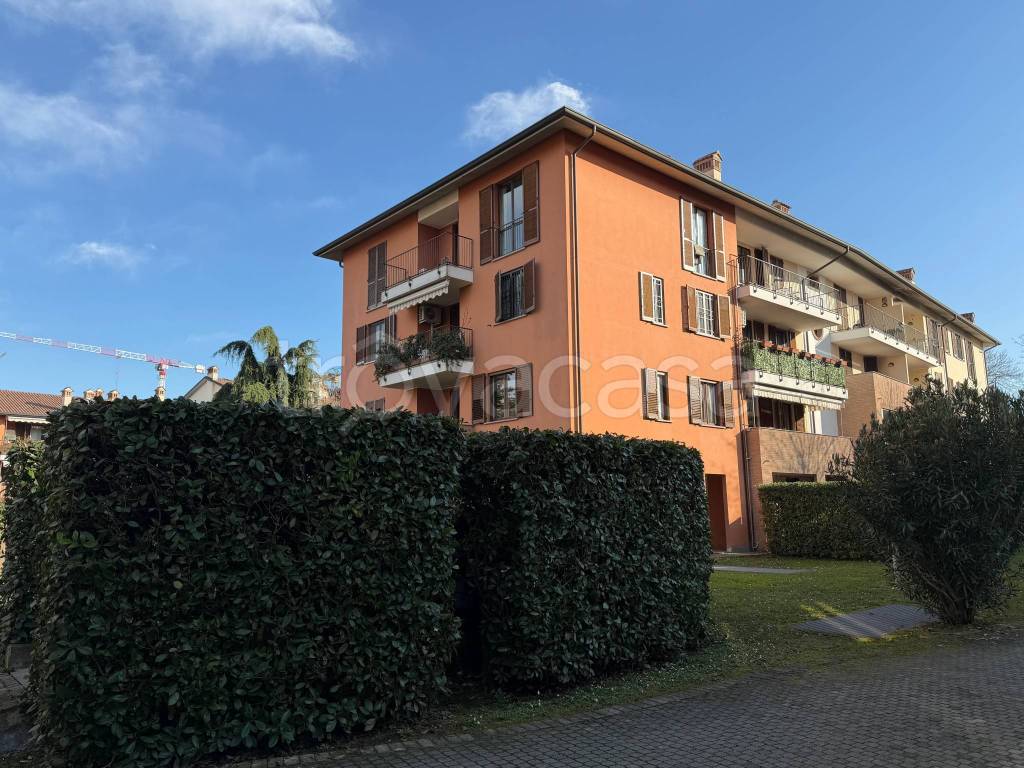 immagine annuncio 2 di 15