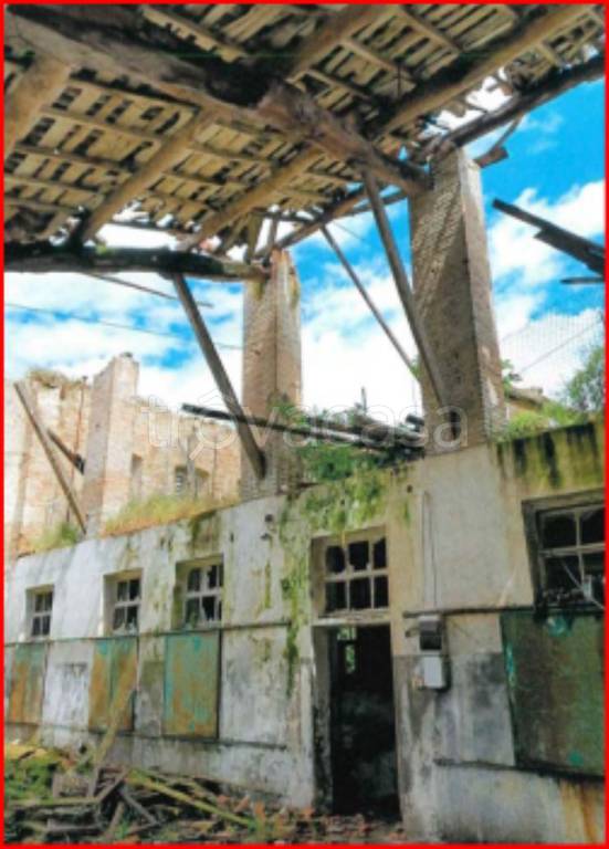 immagine annuncio 3 di 12