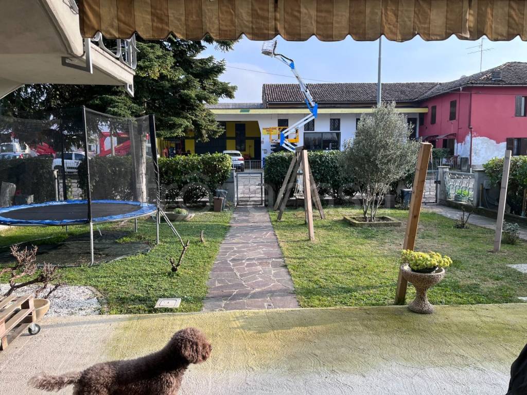 immagine annuncio 6 di 15