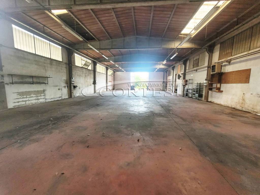 immagine annuncio 1 di 14