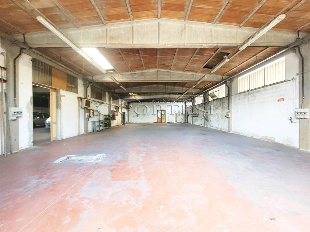 immagine annuncio 2 di 14