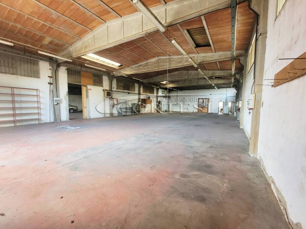 immagine annuncio 4 di 14