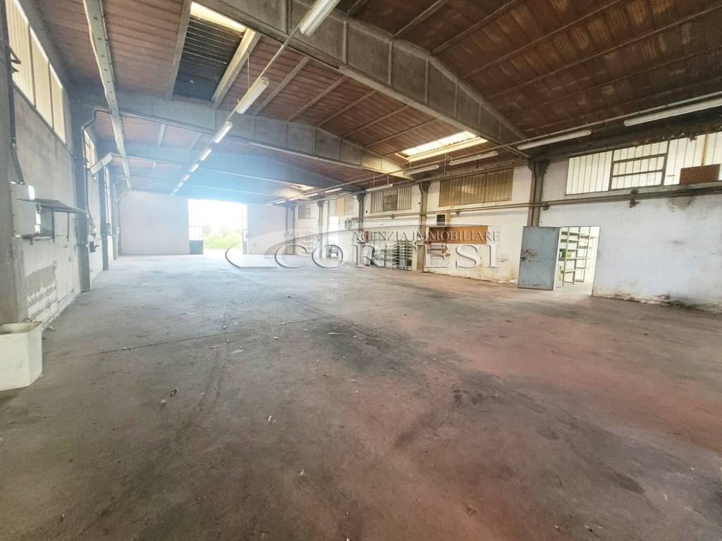 immagine annuncio 5 di 14