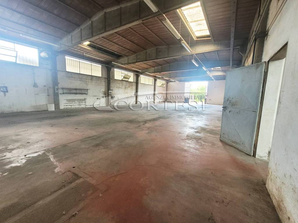 immagine annuncio 6 di 14