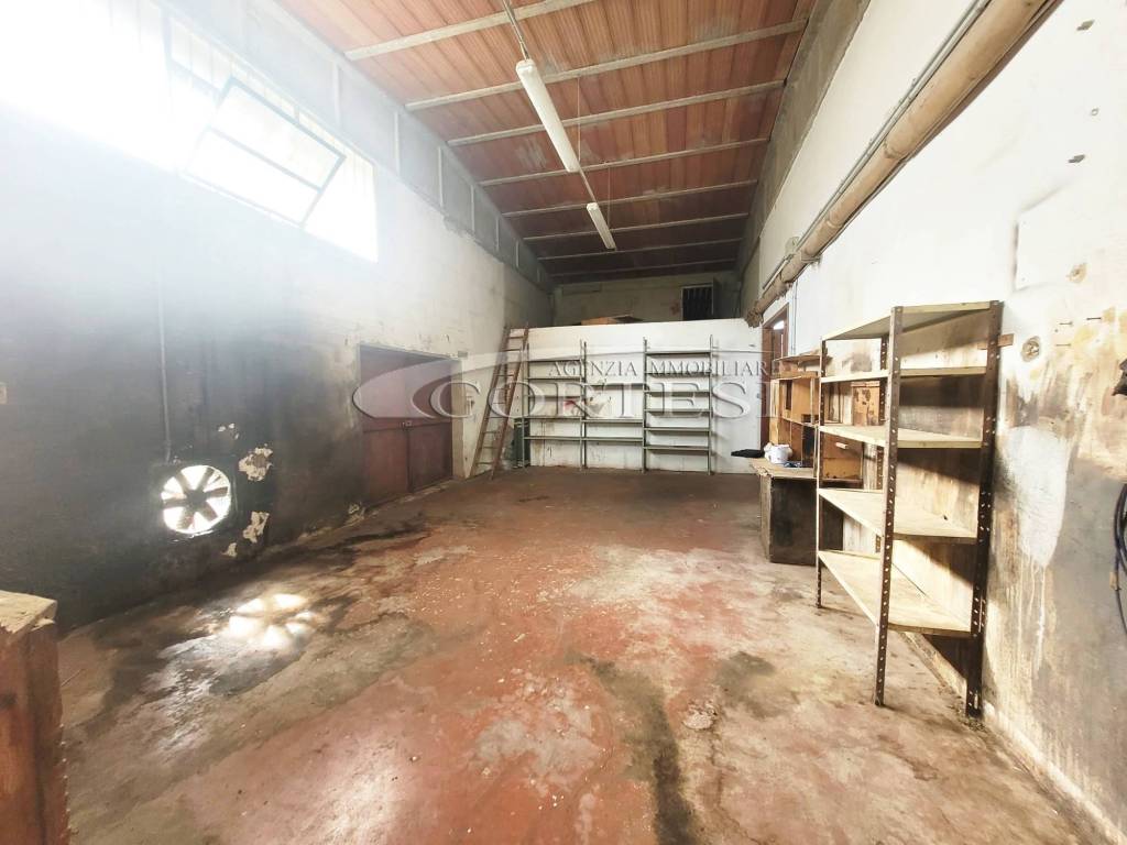 immagine annuncio 9 di 14