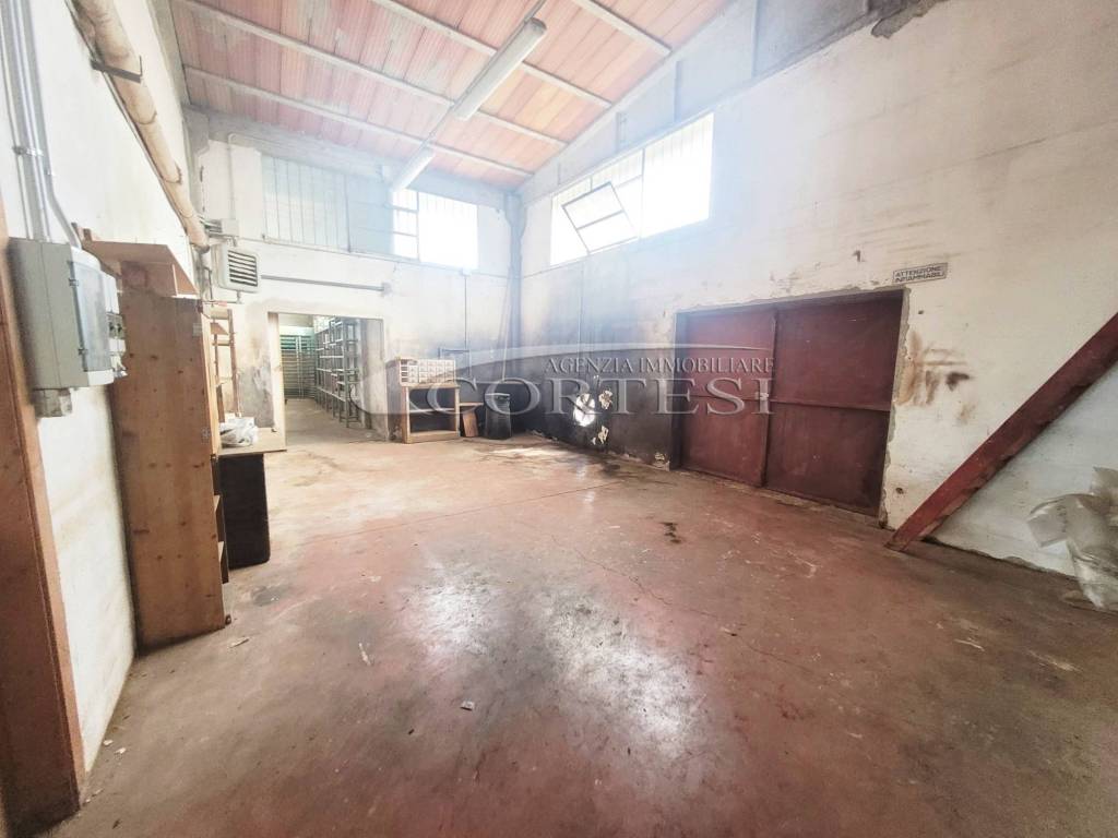 immagine annuncio 10 di 14