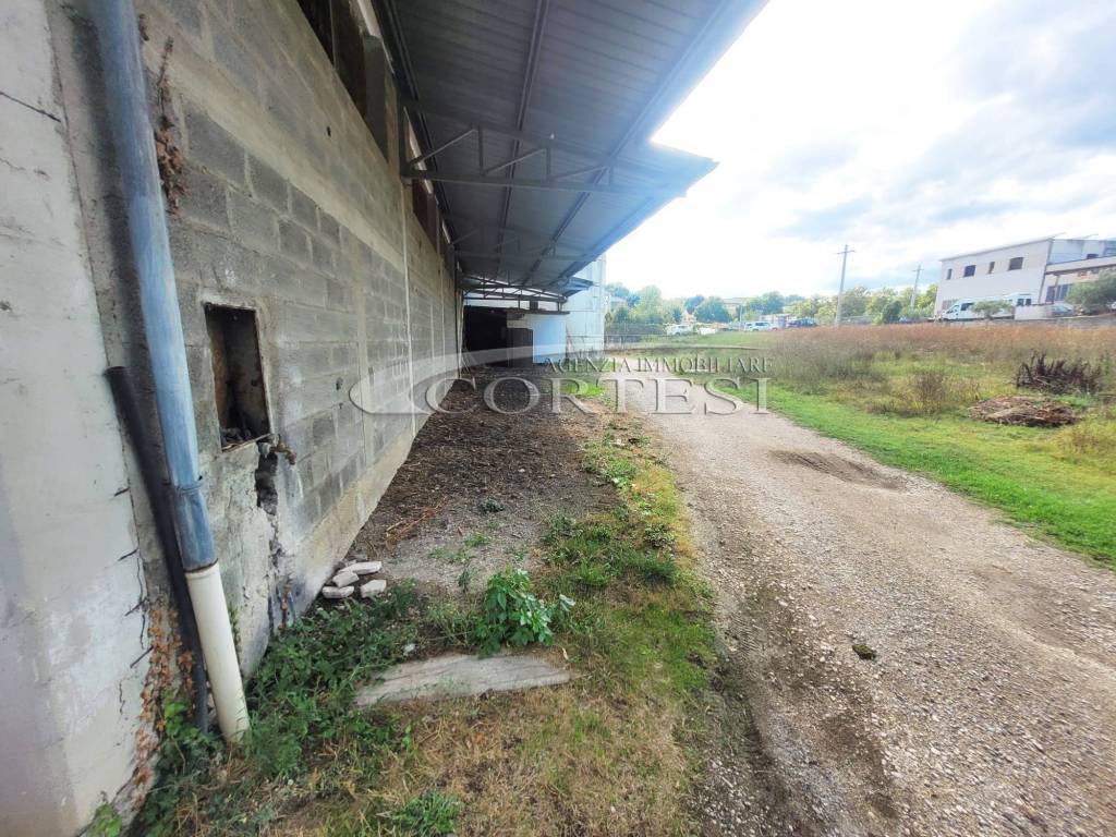 immagine annuncio 13 di 14