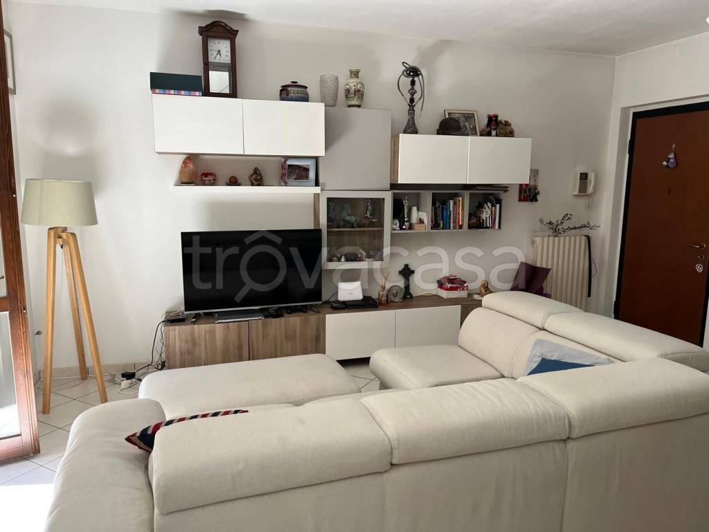 immagine annuncio 1 di 14