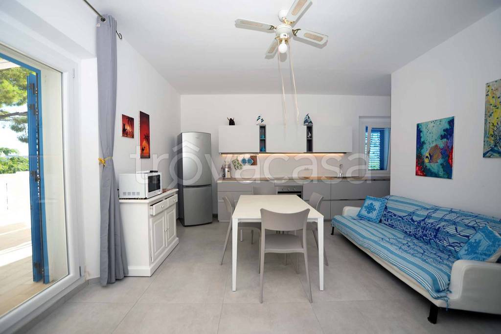 immagine annuncio 9 di 14